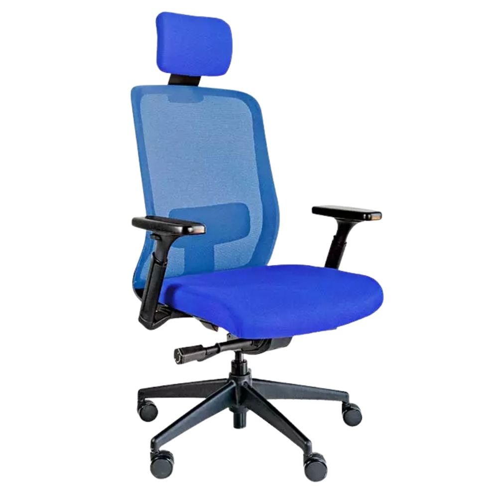 Silla de Oficina Ejecutiva Ergonómica - REQUIEZ RE-1600 AZUL - Azul - Respaldo Mesh con Brazos y Cabeza Tapizada 5 Puntas Sillas Directivas Sillas De Oficina Uso Directivo Sillas Ejecutivas Mobiliario Directivo Sillas De Liderazgo Confort Ejecutivo Ergonomía Ejecutiva Diseño Ejecutivo Calidad Ejecutiva Estilo Directivo Sillas Premium Soluciones Ejecutivas Espacios Directivos Innovación Directiva Sillas Para Directivos