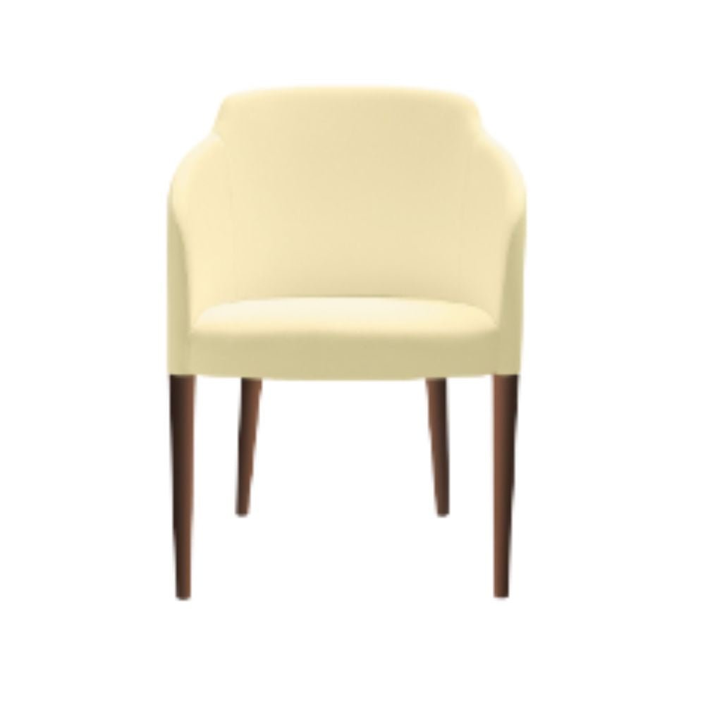 Sillón de Sala de Espera Madera - LABENZE BRIGIDA 155-10500-000 - Varios Colores - Tapizado con Respaldo y Descansabrazos Sofás para Salas de Espera Sillones Modulares Oficinas Corporativas Consultorios Médicos y Clínicas Salas de Espera de Hospitales Centros de Atención al Cliente Salones de Eventos y Exposiciones Salas de Espera en Instituciones Financieras Recepción Sillón